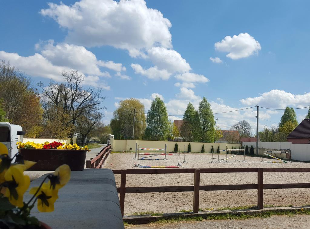 Farm Stay Nh Stables Nyrany Exterior foto